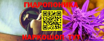 прущие грибы Беслан