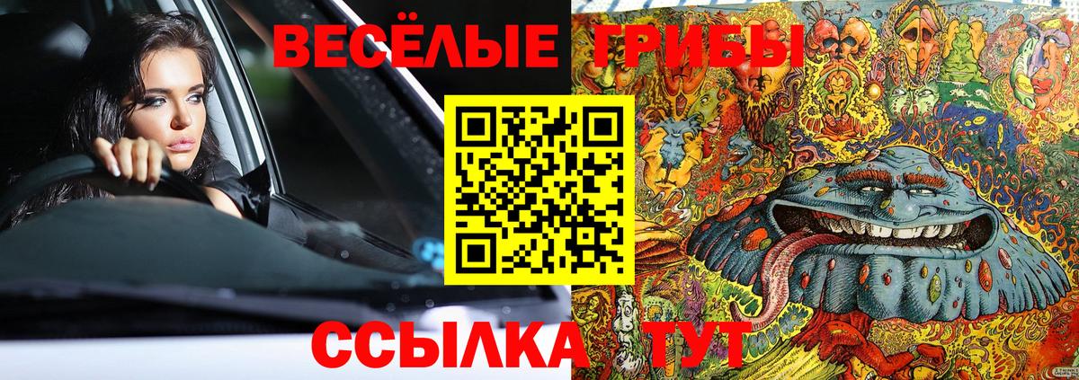 Конопля Гатчина