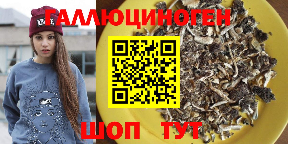 Псилоцибиновые грибы мухоморы  Псилоцибиновые грибы MAGIC MUSHROOMS  Гатчина  Вход с VPN 